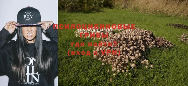 PSILOCYBIN Белокуриха
