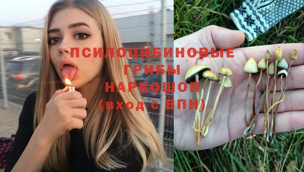 прущая мука Беломорск