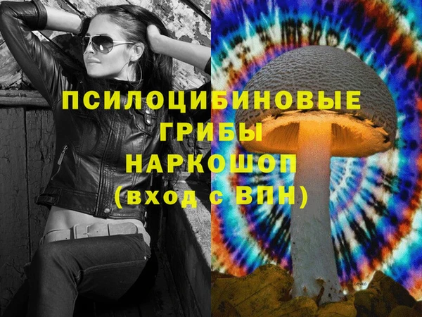 PSILOCYBIN Белокуриха