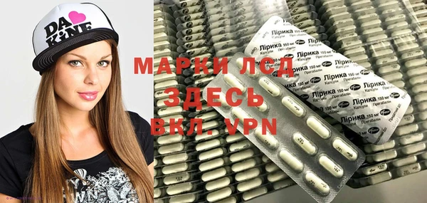 PSILOCYBIN Белокуриха