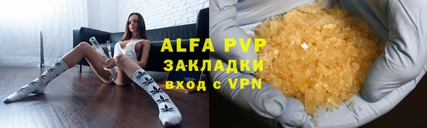 PSILOCYBIN Белокуриха
