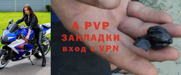 PSILOCYBIN Белокуриха